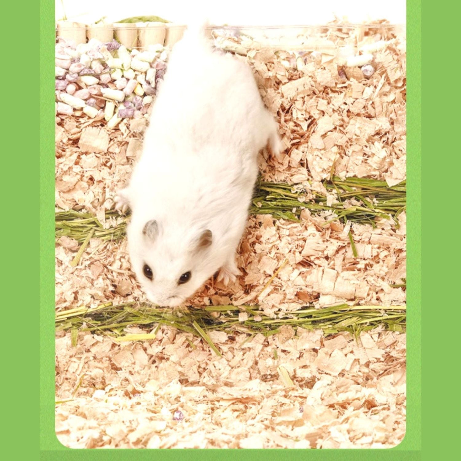 Kleine Dier Houtsnippers Mat Houtkrullen stapel